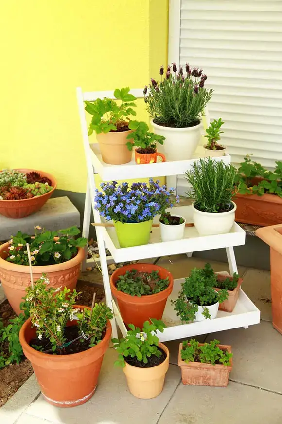 61 idées de jardins super cool dans l'arrière-cour 14 Rooftop Container Garden