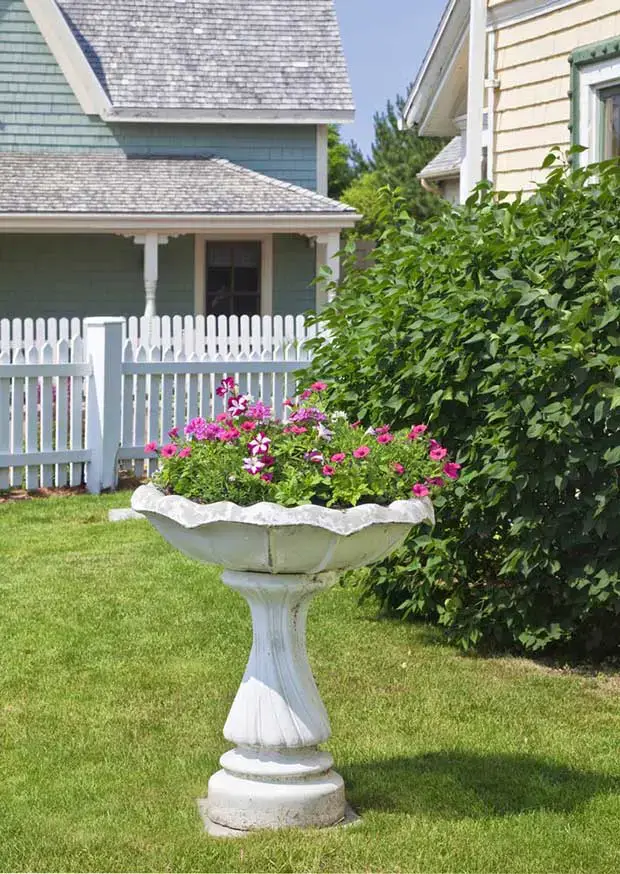 61 idées de jardins super cool dans l'arrière-cour 15 Birdbath Garden