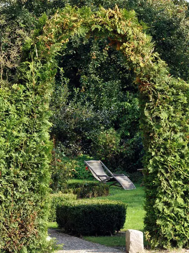 61 idées de jardins super cool dans l'arrière-cour 19 Topiary Archway