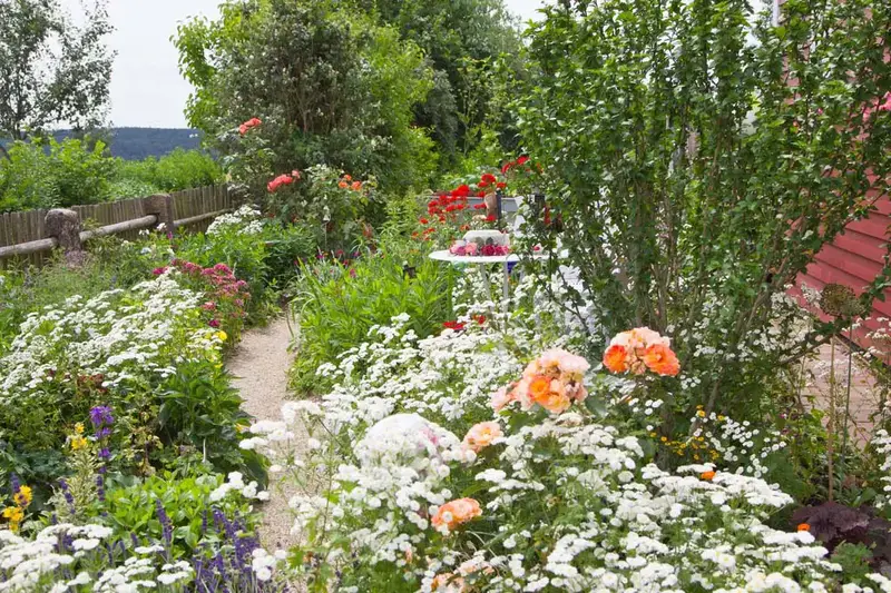 61 idées de jardins super cool dans l'arrière-cour 34 Wildflower Garden