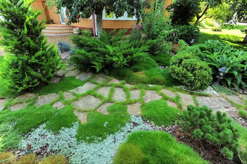 61 idées de jardins super cool dans l'arrière-cour 36 Evergreen and Ground Cover Garden
