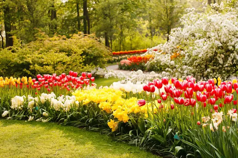 61 idées de jardins super cool dans l'arrière-cour 39 Thick Beds of Tulips