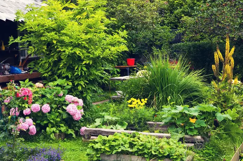 61 idées de jardins super cool dans l'arrière-cour 41 Lush Overgrown Garden
