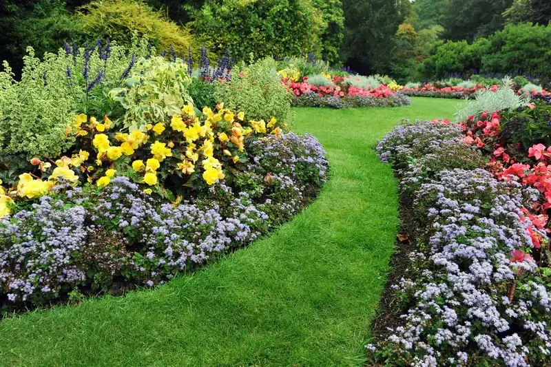 Lawn Path Through Large Planting Beds