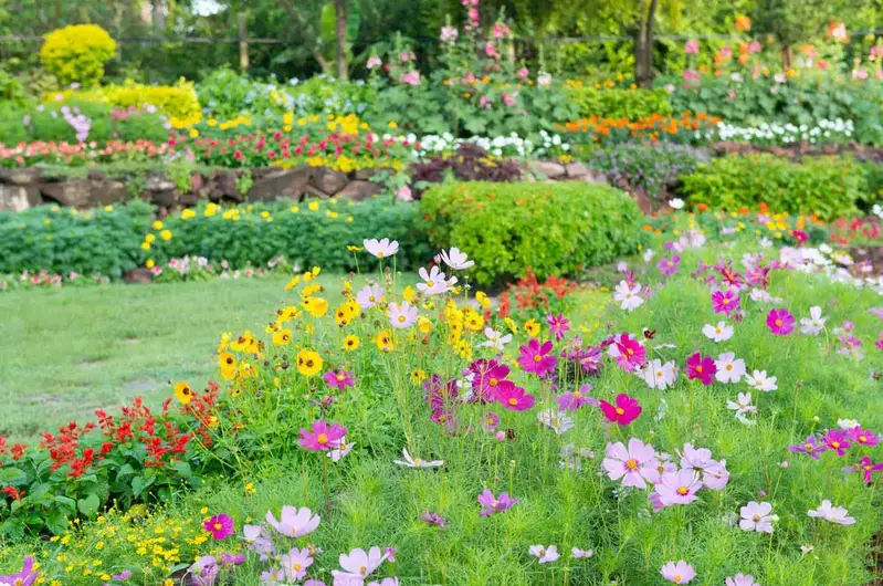 61 idées de jardins super cool dans l'arrière-cour 47 Wildflower Garden