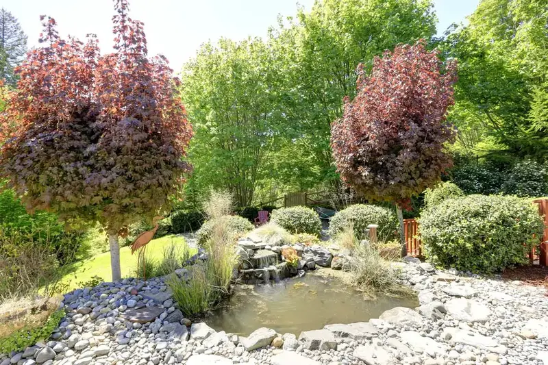 Rock Pond Surrounded by Ornamental Trees