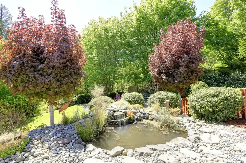 61 idées de jardins super cool dans l'arrière-cour 48 Rock Pond Surrounded by Ornamental Trees