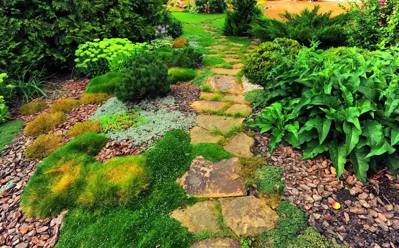 61 idées de jardins super cool dans l'arrière-cour 50 Garden Path