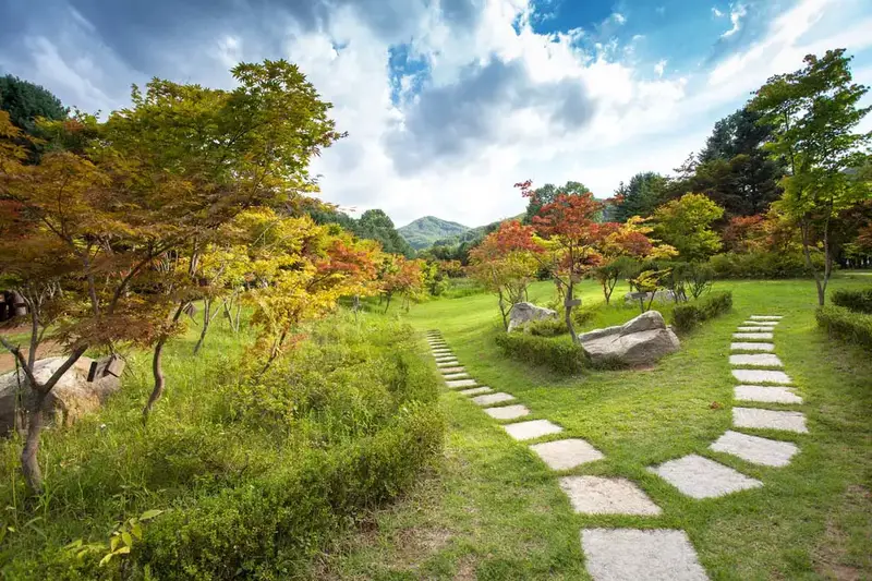 Wild-Growing Garden with Stone Path