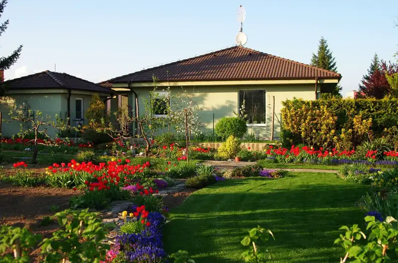 Backyard Garden with Rows of  Red Tulips