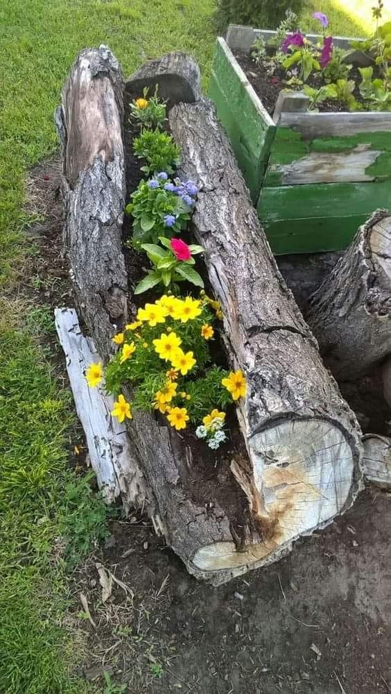 10 idées à faire avec des souches d'arbres 2 10 idées à faire avec des souches d'arbres 2