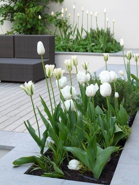 25 Tendances en décoration pour les jardins 3