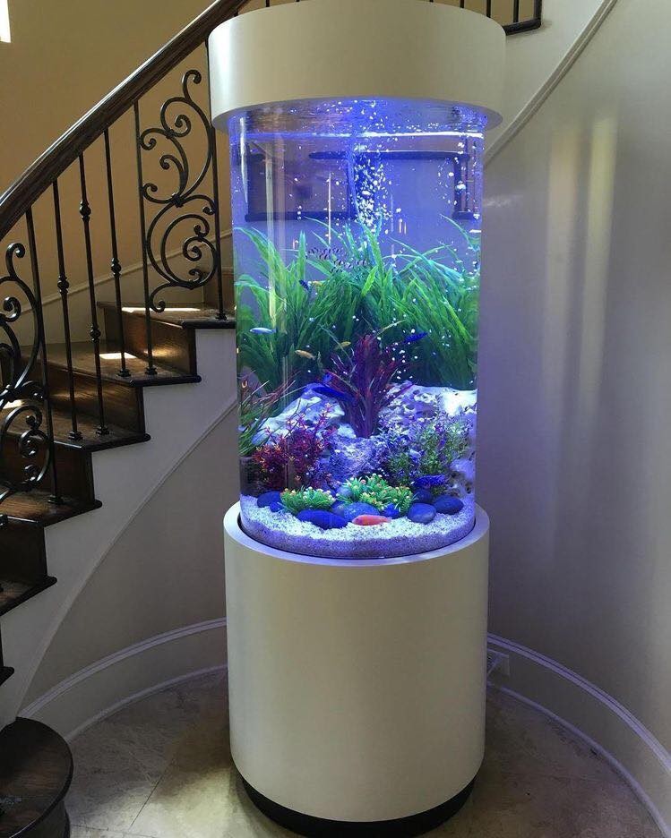25 top idées d'aquariums de luxe 5