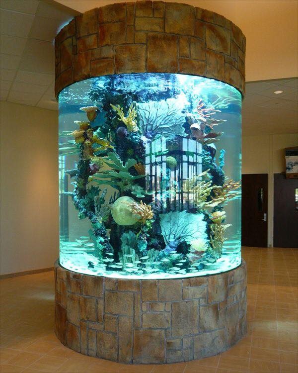 25 top idées d'aquariums de luxe 8