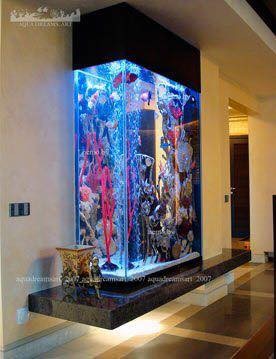 25 top idées d'aquariums de luxe 13
