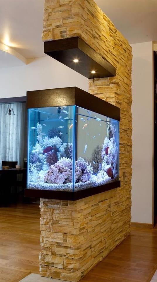 25 top idées d'aquariums de luxe 14
