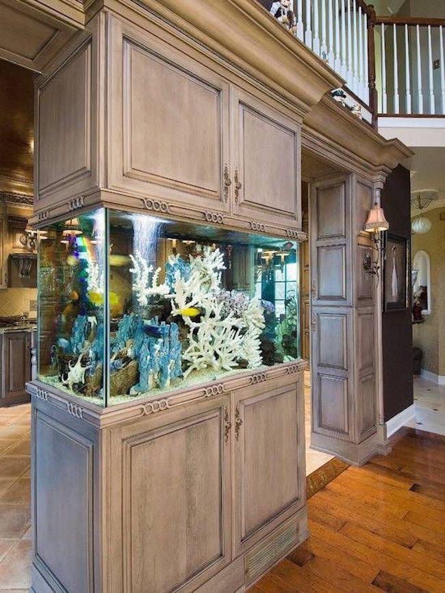25 top idées d'aquariums de luxe 24