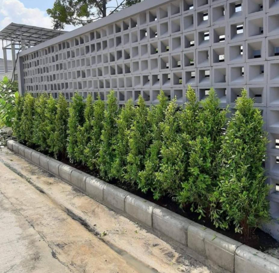 35 Clôtures décorées de petits jardins qui apportent de la vitalité à votre maison 6 35 Clôtures décorées de petits jardins qui apportent de la vitalité à votre maison 6