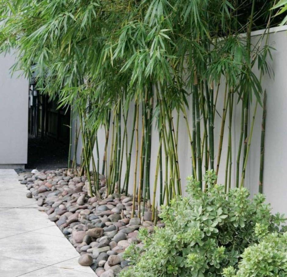 35 Clôtures décorées de petits jardins qui apportent de la vitalité à votre maison 7 35 Clôtures décorées de petits jardins qui apportent de la vitalité à votre maison 7
