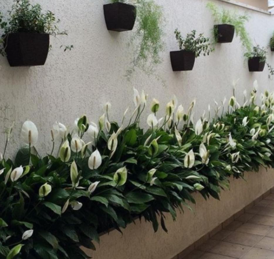 35 Clôtures décorées de petits jardins qui apportent de la vitalité à votre maison 8