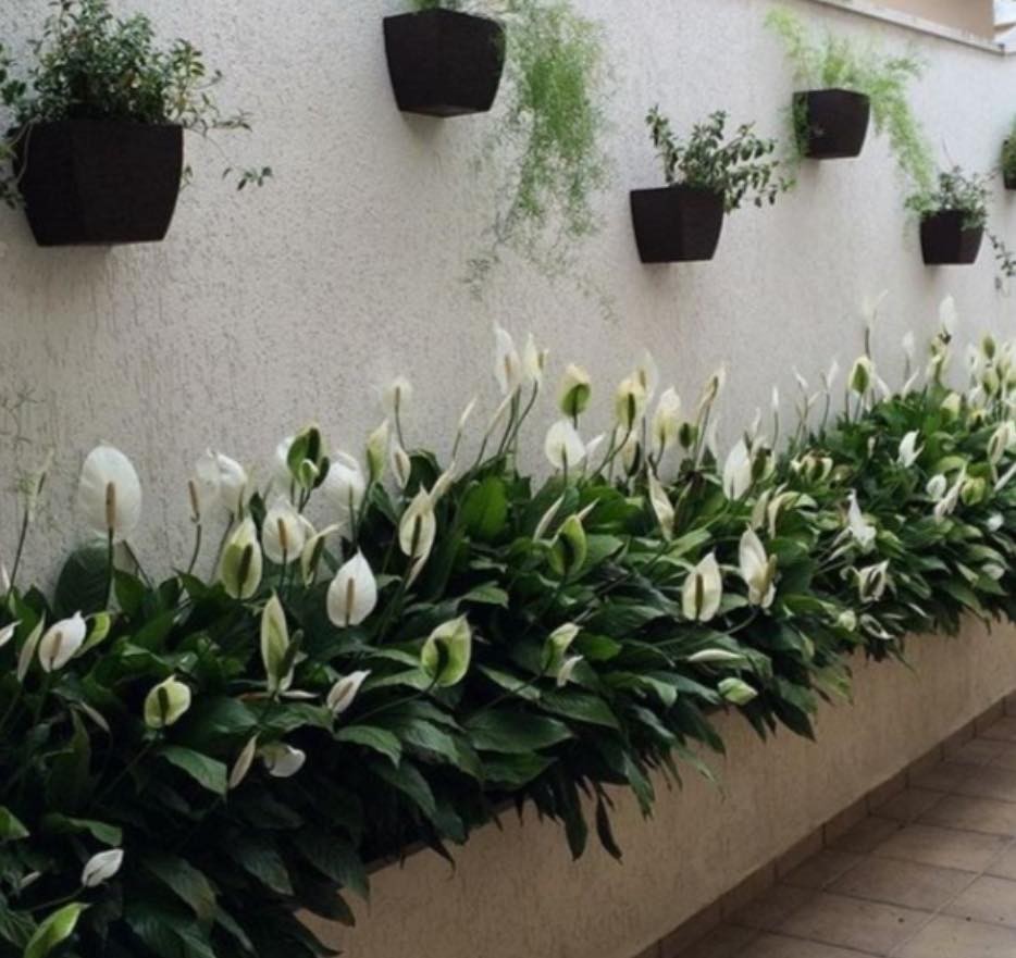 35 Clôtures décorées de petits jardins qui apportent de la vitalité à votre maison 8 35 Clôtures décorées de petits jardins qui apportent de la vitalité à votre maison 8