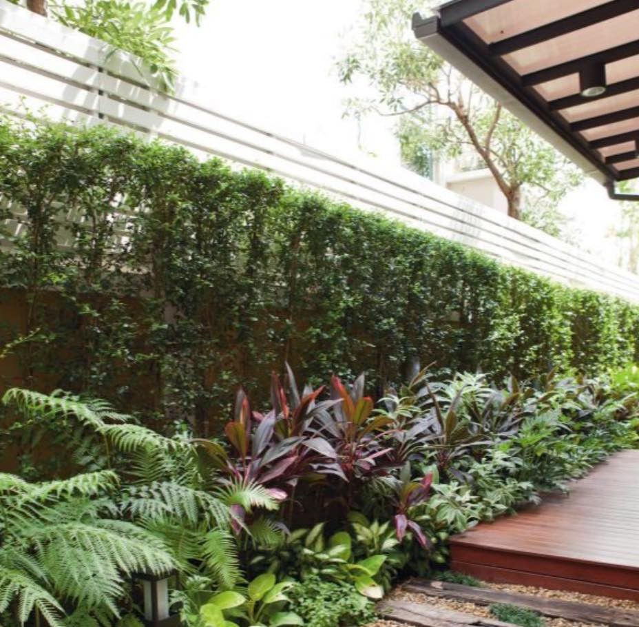 35 Clôtures décorées de petits jardins qui apportent de la vitalité à votre maison 9