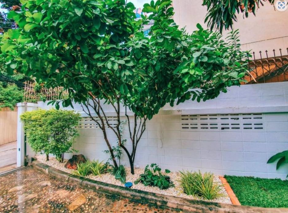 35 Clôtures décorées de petits jardins qui apportent de la vitalité à votre maison 10