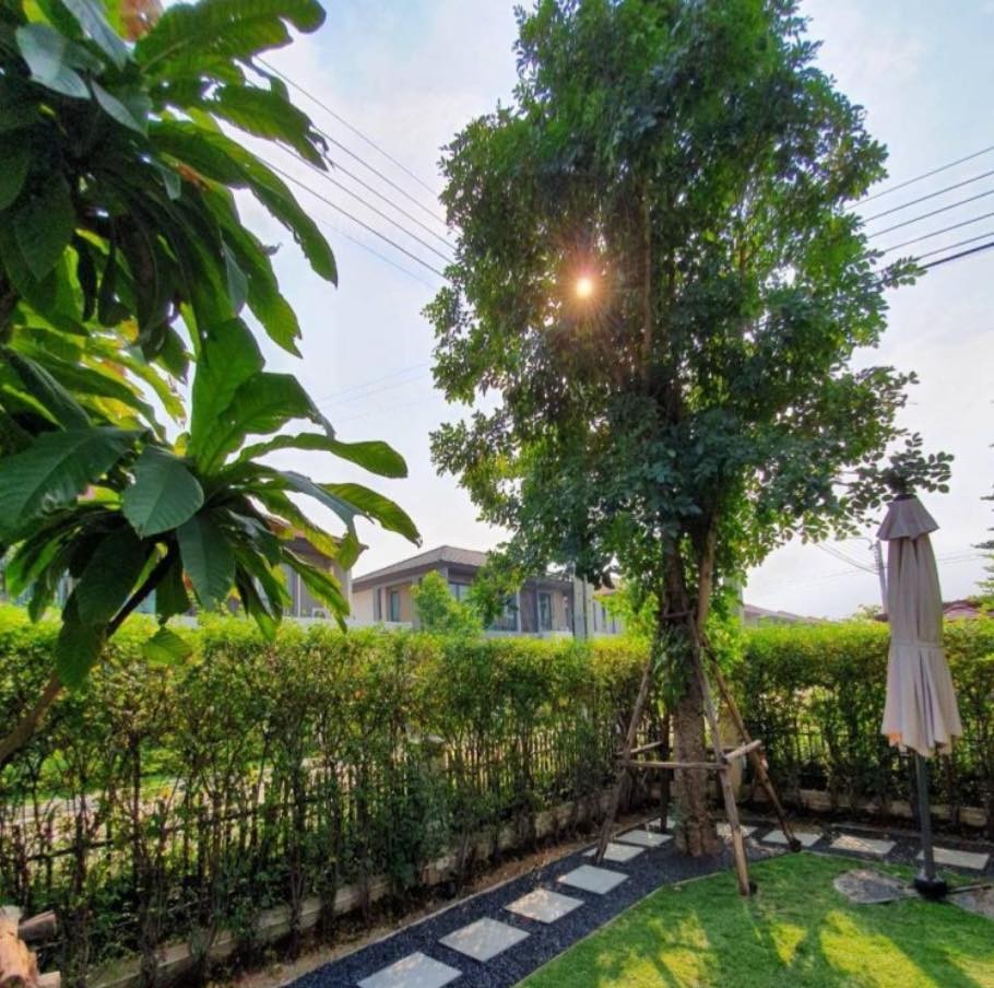 35 Clôtures décorées de petits jardins qui apportent de la vitalité à votre maison 11