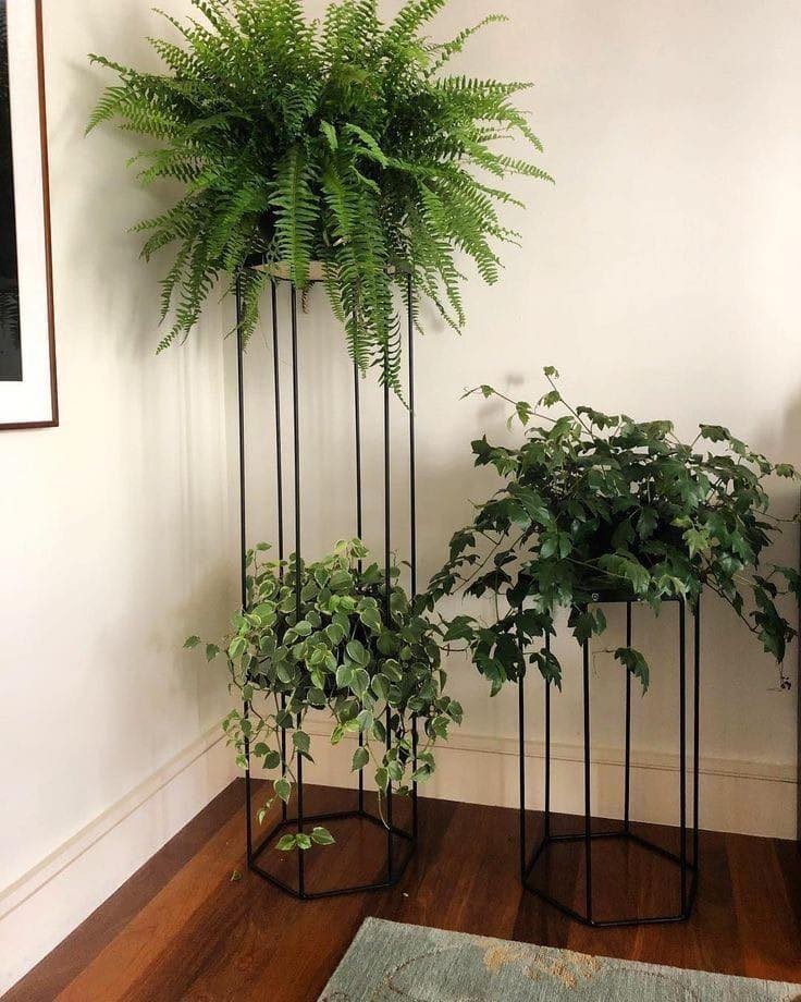 18 idées pour vous inspirer à décorer avec des plantes 7 18 idées pour vous inspirer à décorer avec des plantes 7