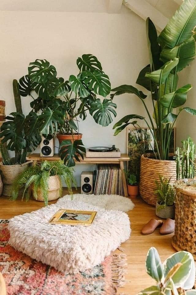 18 idées pour vous inspirer à décorer avec des plantes 8