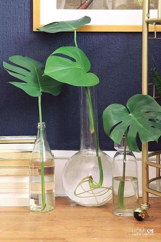 18 idées pour vous inspirer à décorer avec des plantes 10 18 idées pour vous inspirer à décorer avec des plantes 10