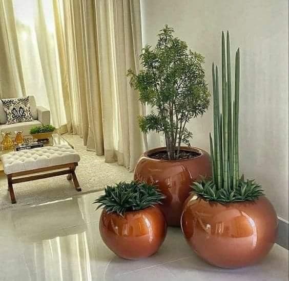 22 idées pour purifier et décorer l'intérieur de votre maison avec des pots de fleurs 2