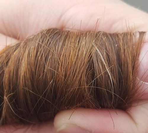 10 astuces pour en finir avec les fourches des cheveux 2 10 astuces pour en finir avec les fourches des cheveux 2