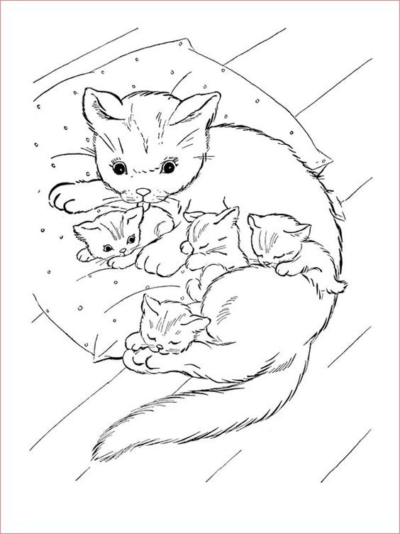 Coloriage chaton : 20 dessins à imprimer gratuitement 2