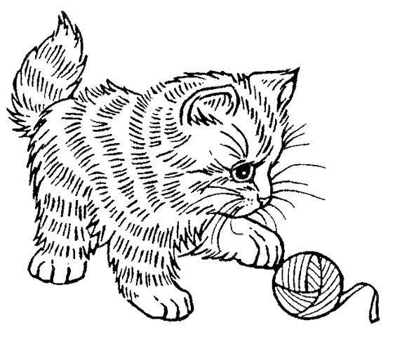 Coloriage chaton : 20 dessins à imprimer gratuitement 3