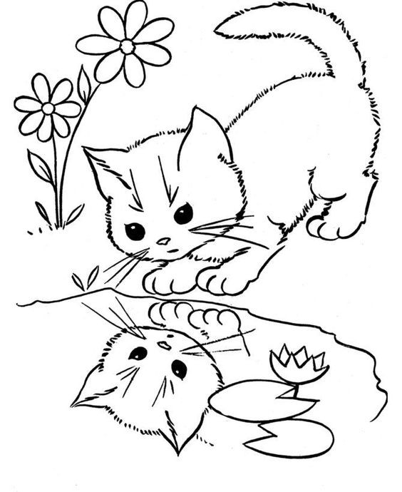 Coloriage chaton : 20 dessins à imprimer gratuitement 4