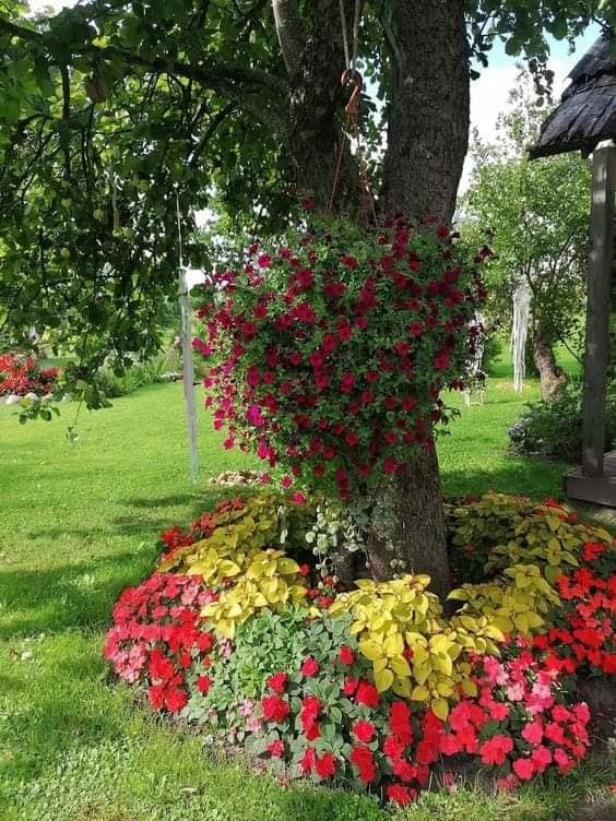 10 idées à faire avec des souches d'arbres 3