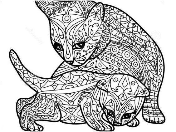 Coloriage chaton : 20 dessins à imprimer gratuitement 8