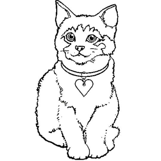 Coloriage chaton : 20 dessins à imprimer gratuitement 11
