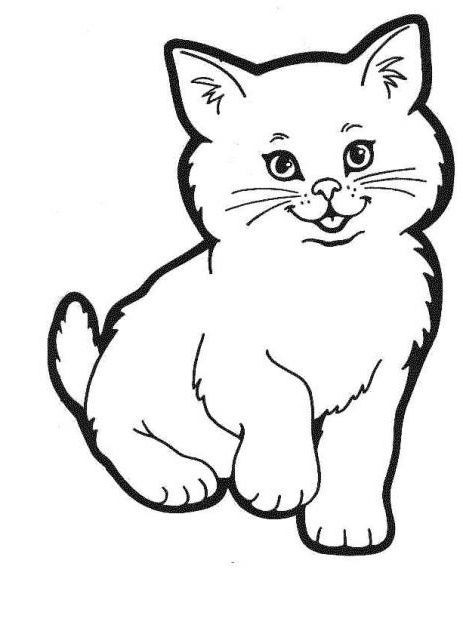 Coloriage chaton : 20 dessins à imprimer gratuitement 13