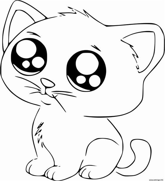 Coloriage chaton : 20 dessins à imprimer gratuitement 14