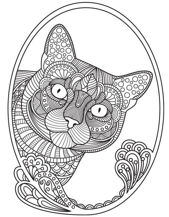 Coloriage chaton : 20 dessins à imprimer gratuitement 16