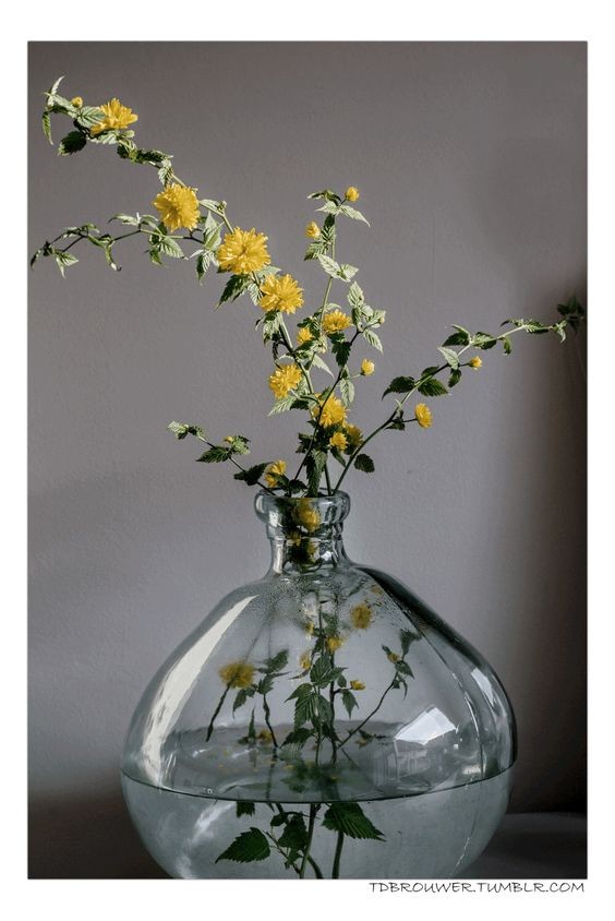 16 idées de vases avec des vases en verre 7