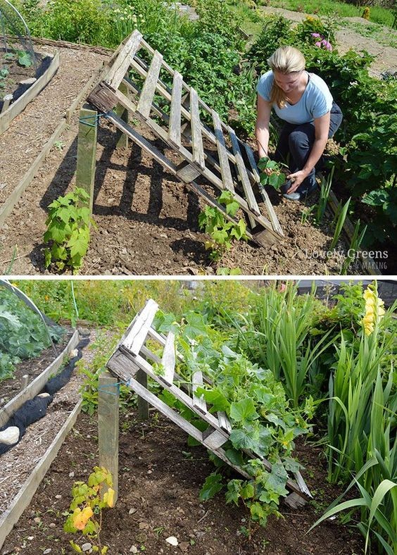 33 super idées pour le jardin (Pratique & économique) 3 33 super idées pour le jardin (Pratique & économique) 3