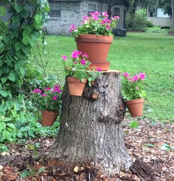 10 idées à faire avec des souches d'arbres 4