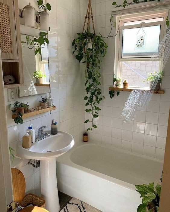 16 idées pour accrocher des plantes dans votre salle de bain 9