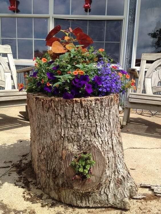 10 idées à faire avec des souches d'arbres 7 10 idées à faire avec des souches d'arbres 7