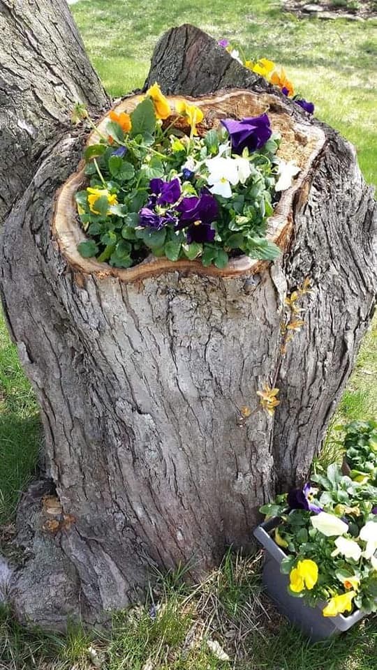 10 idées à faire avec des souches d'arbres 8 10 idées à faire avec des souches d'arbres 8