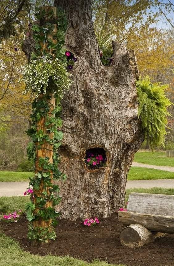 10 idées à faire avec des souches d'arbres 10 10 idées à faire avec des souches d'arbres 10