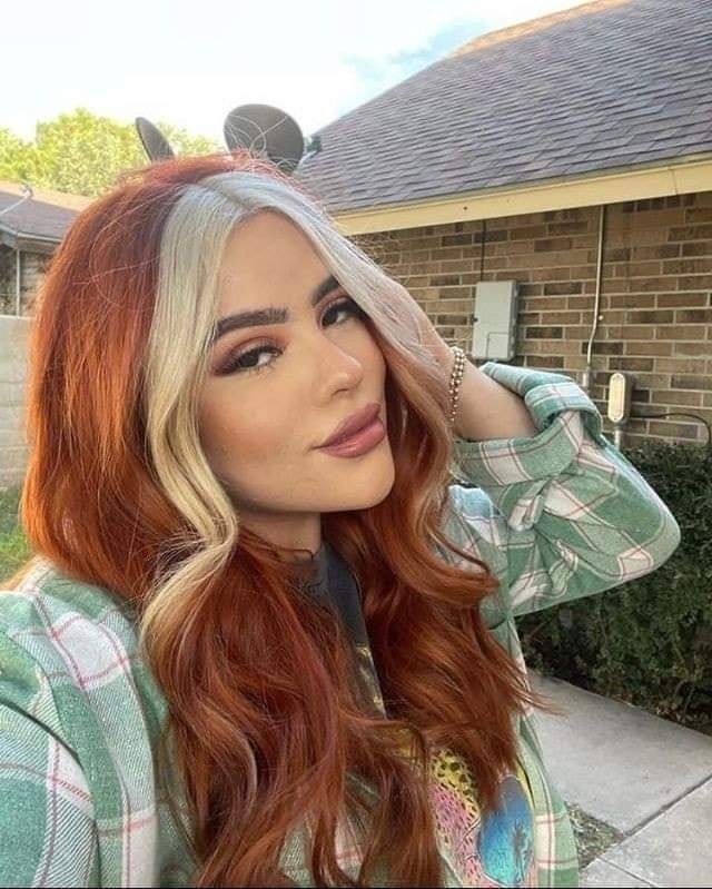 12 couleurs cuivrées avec effet et mèche blonde 2 12 couleurs cuivrées avec effet et mèche blonde 2